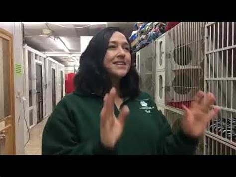Anna shelter erie - A local animal shelter is celebrating the adoption of 50 dogs from a national rescue they participated in. The founder and director of the ANNA Shelter, Ruth Thompson, said they are thrilled all ...